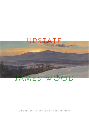 cover image of Upstate